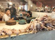 Harga Daging Ayam di Pasar Jengki Manado Meroket