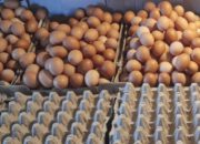 Up Date Harga Telur di Pasar Jengki Manado