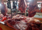 Harga Daging Babi di Pasar Karombasan Manado Hari Ini