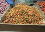 Harga Rica Gorontalo di Pasar Jengki Manado Hari Ini