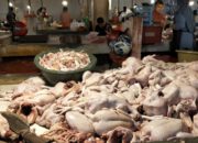 Harga Daging Ayam di Pasar Jengki Manado Hari Ini Masih Tinggi