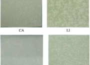 Peneliti Indonesia Temukan Pembungkus Makanan yang tidak Mudah Bocor dari Lemak Nabati