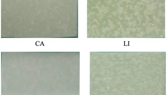 Peneliti Indonesia Temukan Pembungkus Makanan yang tidak Mudah Bocor dari Lemak Nabati