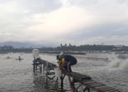 Riset Teknologi Bioflok Tingkatkan Panen Udang Vaname Hingga 50 Ton