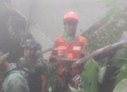 Hari Kelima Operasi SAR ATR 42-500, Tim SAR Gabungan Temukan Black Box Pesawat