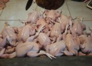 Harga Daging Ayam di Pasar Karombasan Manado Hari Ini Masih Mahal