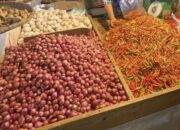 Harga Bumbu Dapur di Pasar Karombasan Manado Hari Ini