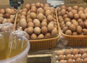 Up Date Harga Telur Ayam Ras di Pasar Karombasan Manado Hari Ini
