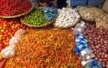 Harga Pangan dan Bahan Pokok di Pasar Jengki Bersehati Manado Hari Ini