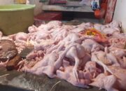 Setelah 9 Bulan di Harga Rp38-40 ribu/Kg, Daging Ayam Akhirnya Turun di Pasar Bersehati Manado