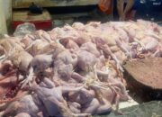 Up Date Harga Daging Sapi di Pasar Karombasan Manado Hari Ini