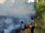 1 Hektare Lahan Alang-Alang Terbakar, Api Nyaris Kepung Permukiman Warga