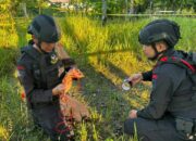 Granat Tangan Ditemukan di Likupang, Tim Gegana Polda Sulut Lakukan Disposal
