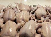 Harga Daging Ayam di Pasar Karombasan Manado Masih Mahal, Cek Disini