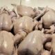 Harga Daging Ayam di Pasar Karombasan Manado Masih Mahal, Cek Disini